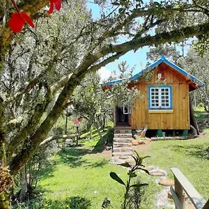  Alojamento de Turismo Selvagem Chale Refugio Aguas